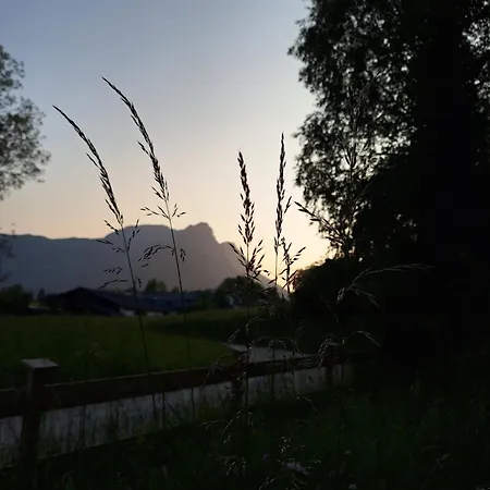 Wilder Garten In Mit Gartenbenutzung Bad Aussee
