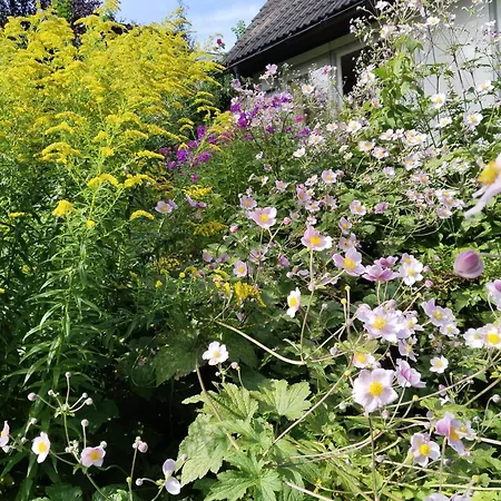 Wilder Garten In Mit Gartenbenutzung Apartmán *