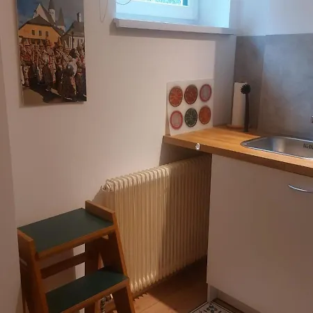 Wilder Garten In Mit Gartenbenutzung Apartmán Bad Aussee