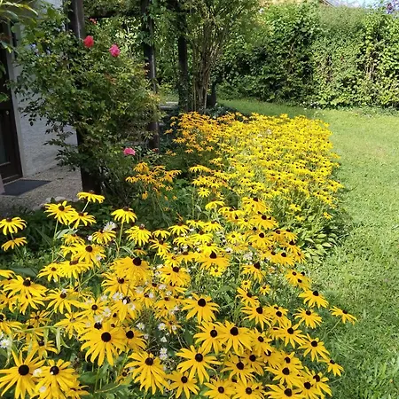 Wilder Garten In Mit Gartenbenutzung