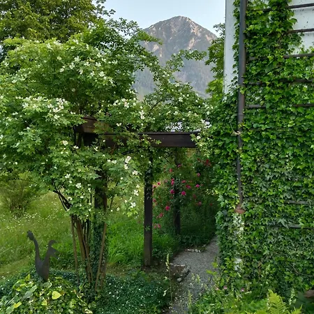 Apartmán Wilder Garten In Mit Gartenbenutzung *