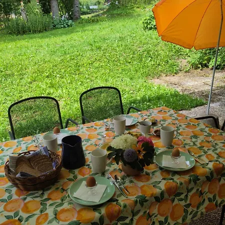 Wilder Garten In Mit Gartenbenutzung